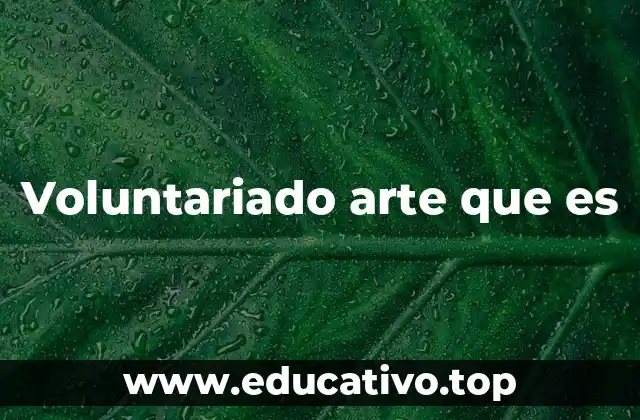 Voluntariado arte que es
