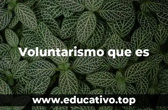 El aporte de las personas sin fines de lucro