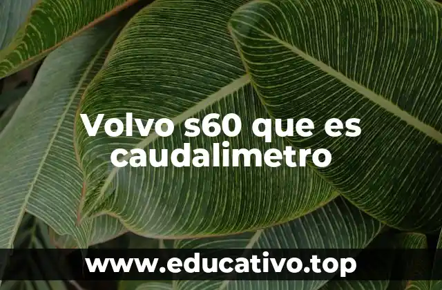 Volvo s60 que es caudalimetro