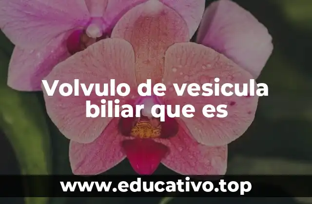 Causas y factores de riesgo del volvulo de la vesícula biliar