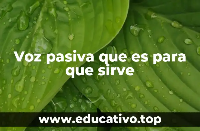 Voz pasiva que es para que sirve