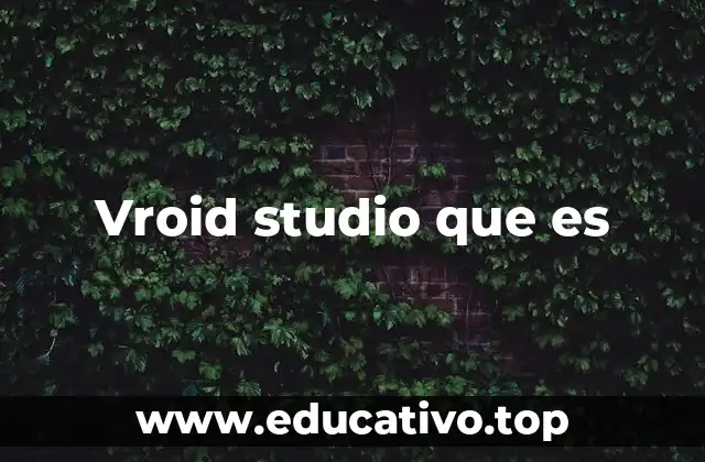 Vroid studio que es