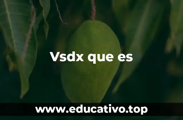 Vsdx que es