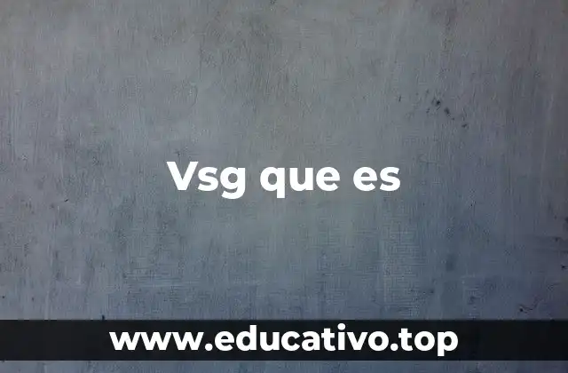 Vsg que es