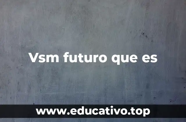 Vsm futuro que es