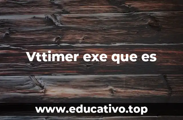 Vttimer exe que es