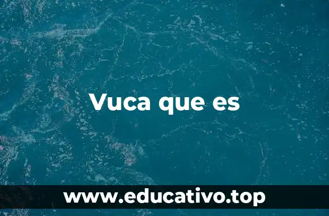 Vuca que es