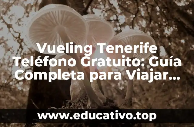 Vueling Tenerife Teléfono Gratuito: Guía Completa para Viajar con Vueling