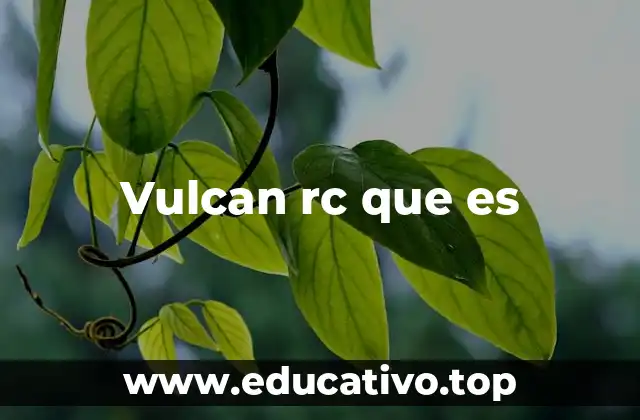 Vulcan rc que es