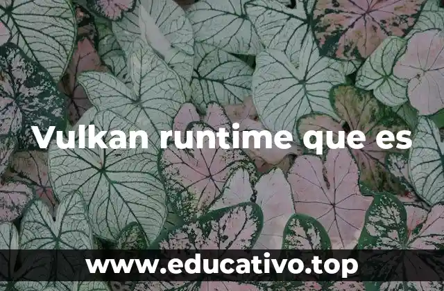 Vulkan runtime que es