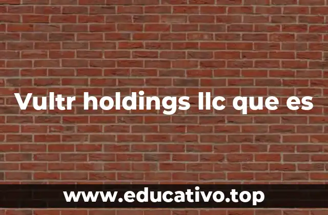 Vultr holdings llc que es