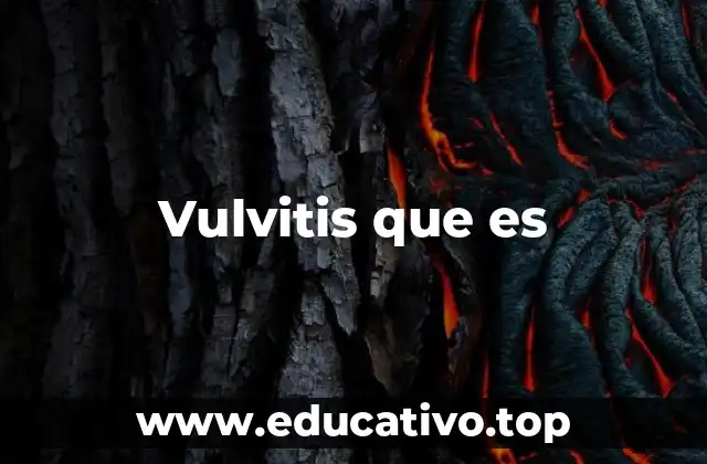 Vulvitis que es