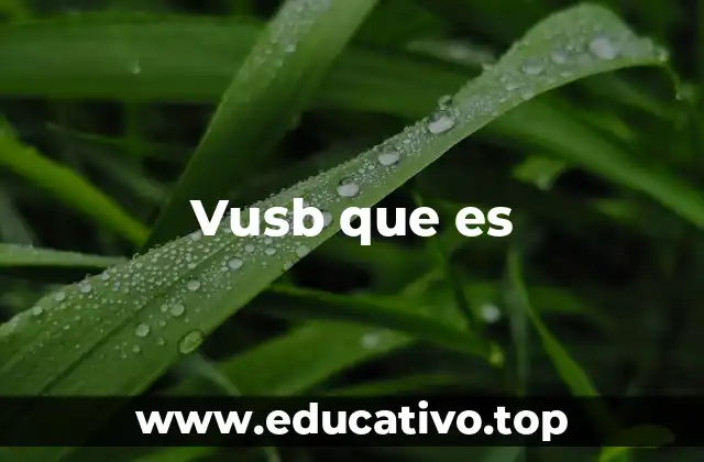 Vusb que es