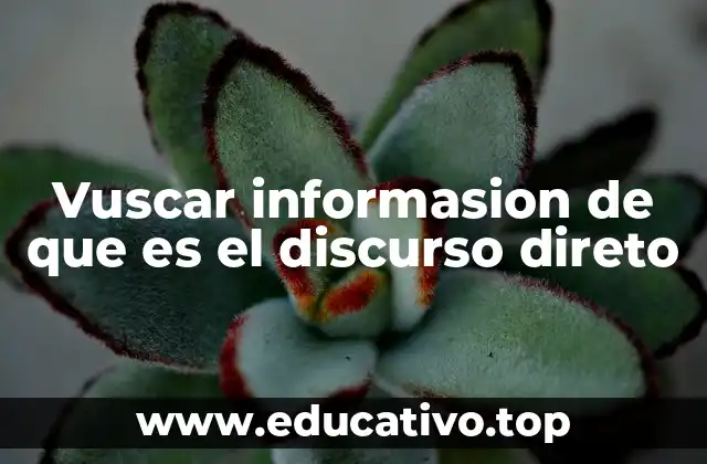Vuscar informasion de que es el discurso direto