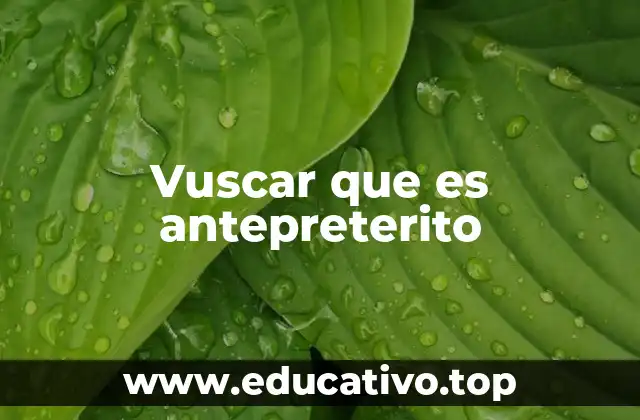 Vuscar que es antepreterito