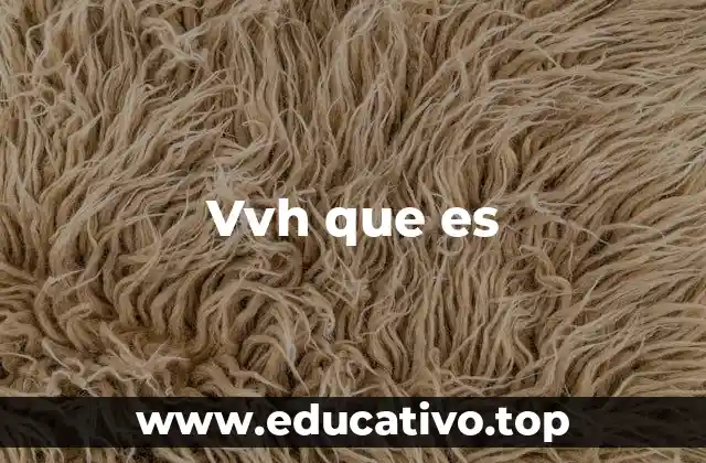 Vvh que es