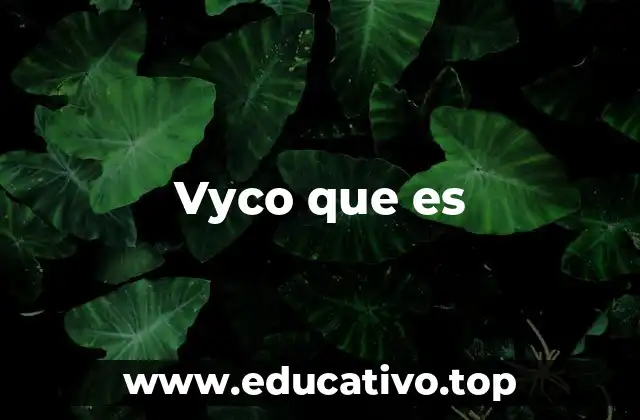 Vyco que es