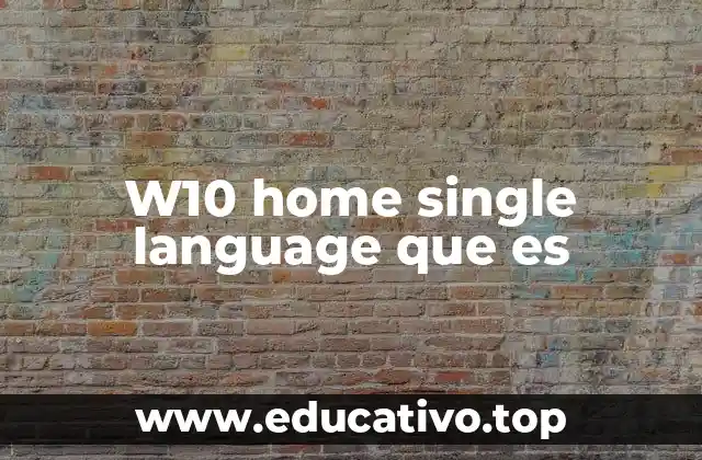W10 home single language que es