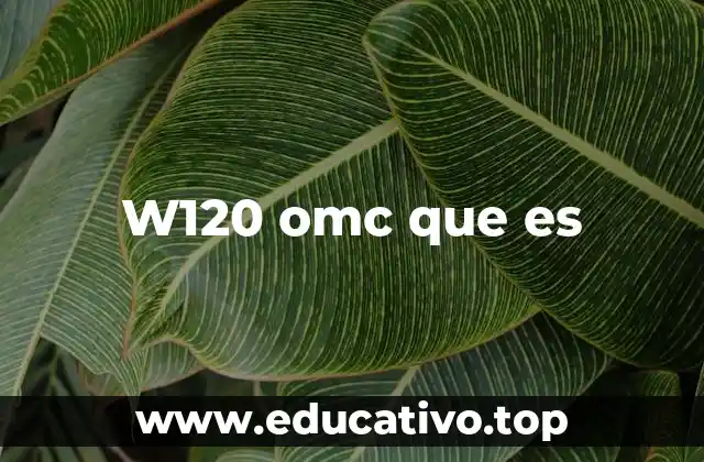 W120 omc que es