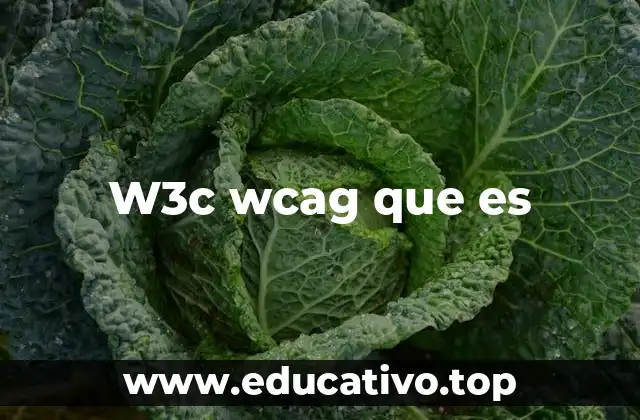 W3c wcag que es