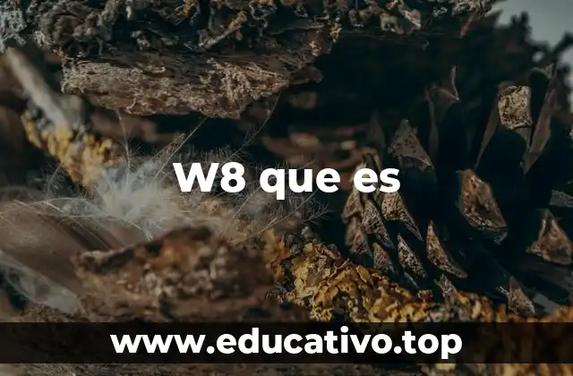 W8 que es