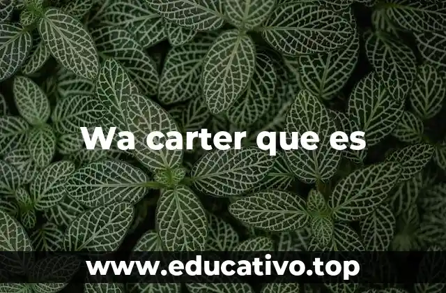 Wa carter que es
