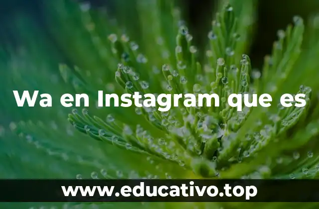 Wa en Instagram que es