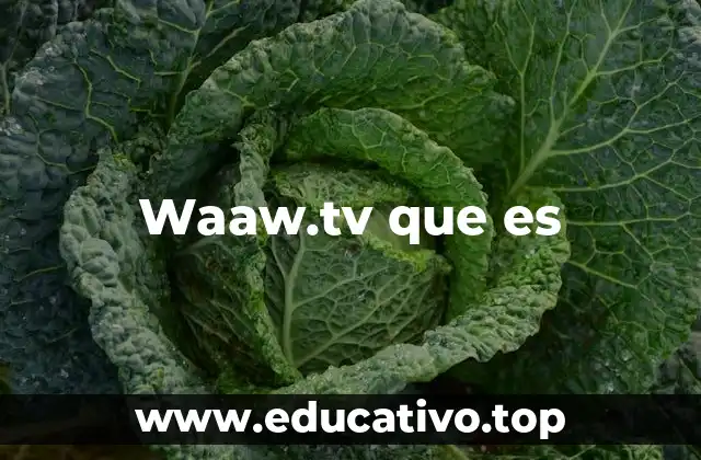Waaw.tv que es