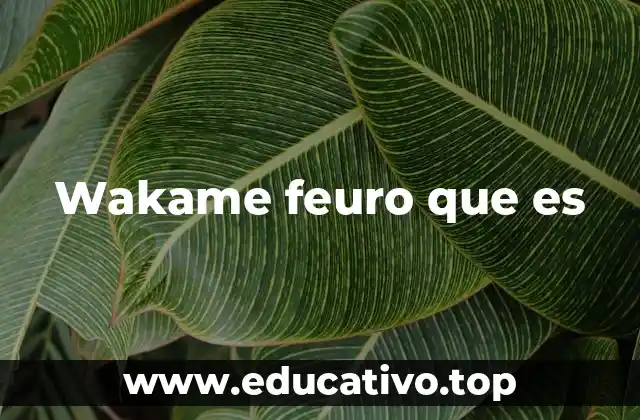 Wakame feuro que es