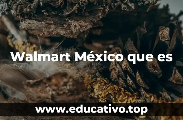 Walmart México que es