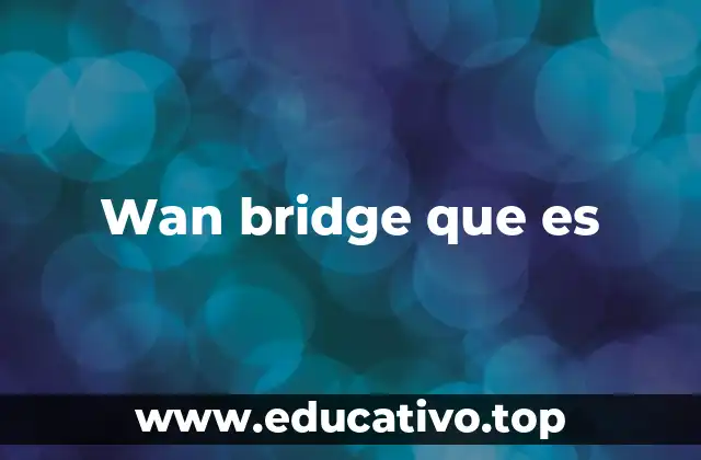 Wan bridge que es