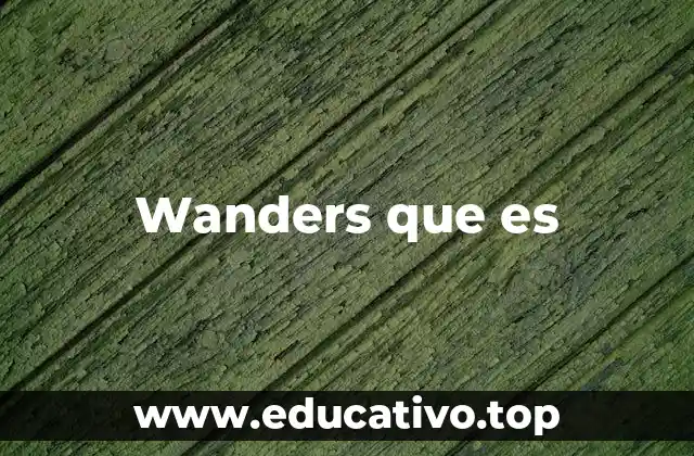 Wanders que es