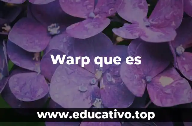 Warp que es