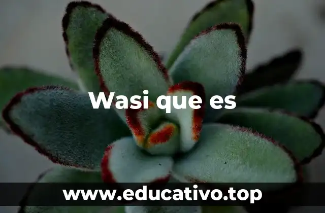 Wasi que es
