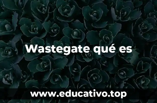 Wastegate qué es