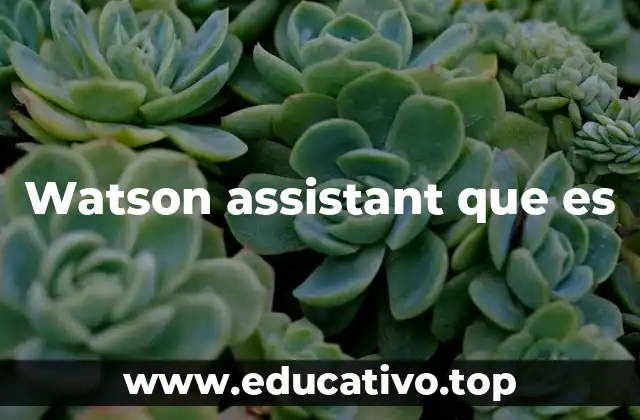 Watson assistant que es