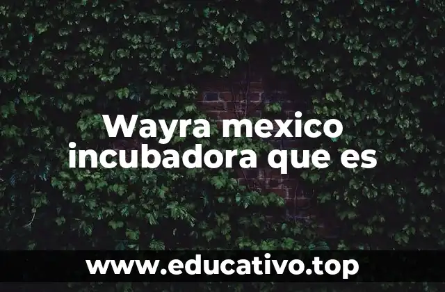 Wayra mexico incubadora que es