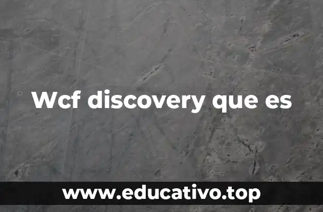 Wcf discovery que es