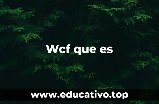 Wcf que es