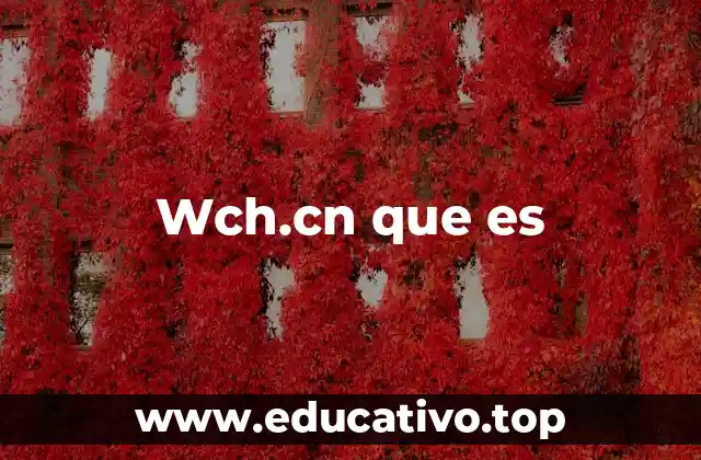 Wch.cn que es