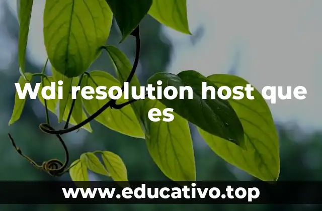 Wdi resolution host que es