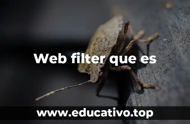 Web filter que es