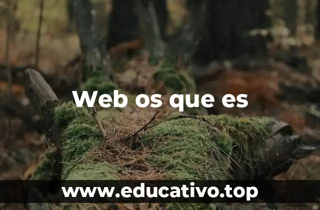Web os que es