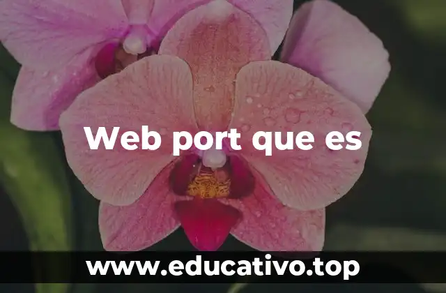 Web port que es