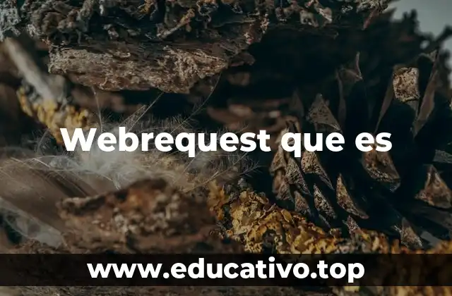 Webrequest que es