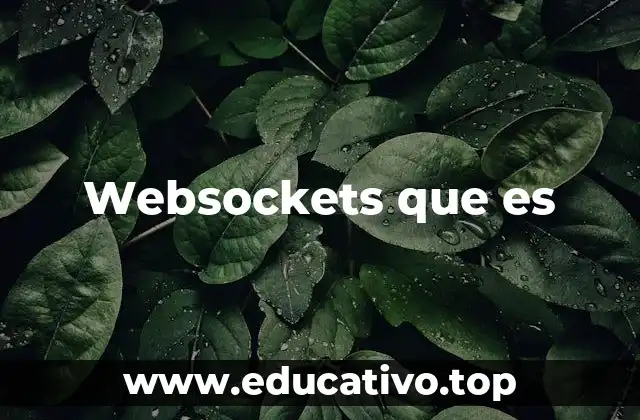 Websockets que es