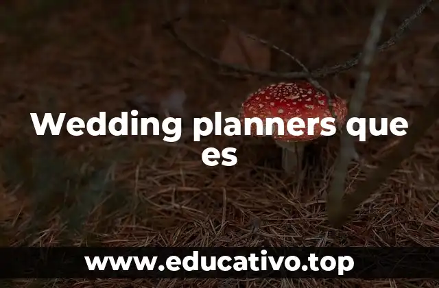 Wedding planners que es