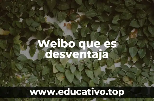 Weibo que es desventaja