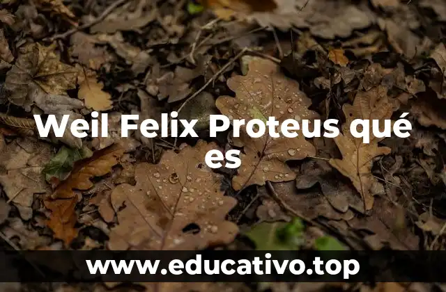 El papel de los antígenos de Proteus en la detección de infecciones