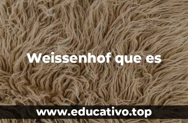 Weissenhof que es